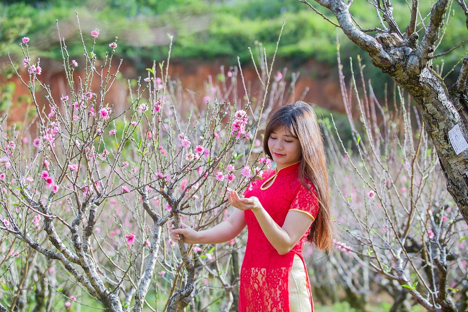 beautiful young Chinese girl smiling in spring garden