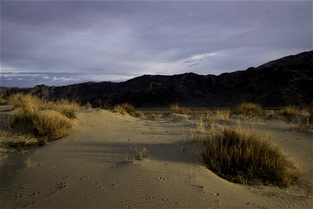 Sand dunes near Turkey Flats photo