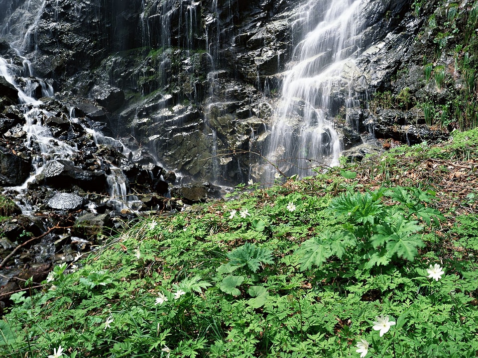 Waterfall in deep rain forest