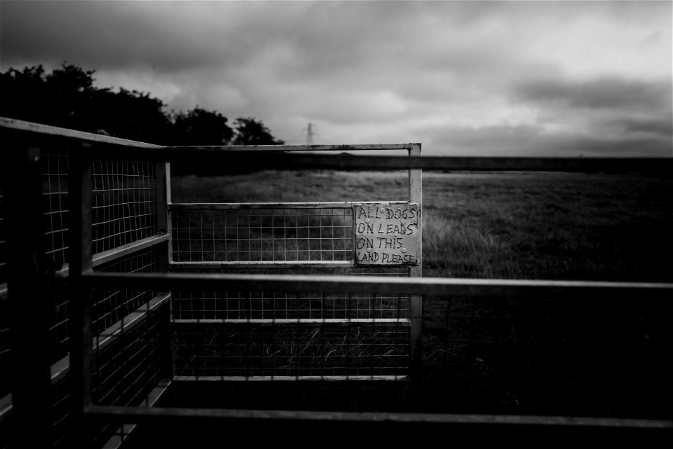 Three from Scotland (1 of 3)