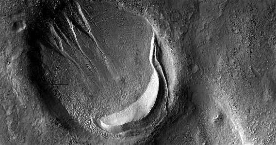 Gullies and Lobate Material in a Crater in the Nereidum Montes