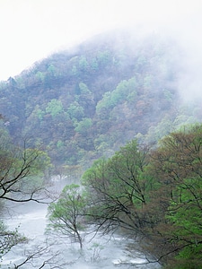 Summer landscape with river and mountain foggy photo