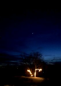 Poplar Under ?? Jupiter??