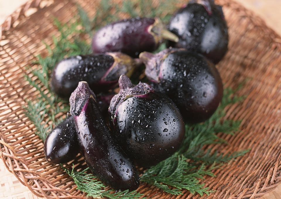 Round aubergines in a basket