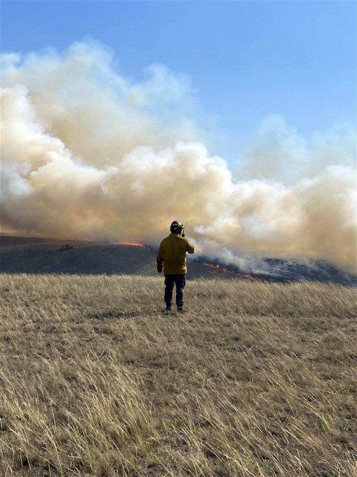Blister Fire