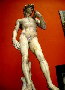 David by Michelangelo in Victoria and Albert Museum London photo