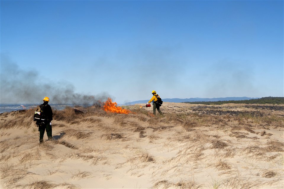 Siuslaw Oregon Dunes Prescribed Burn 2022