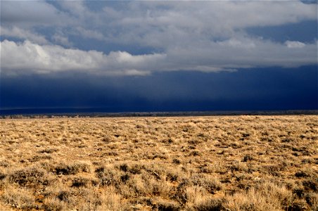 Scenic sage steppe at Seedskadee National Wildlife Refuge