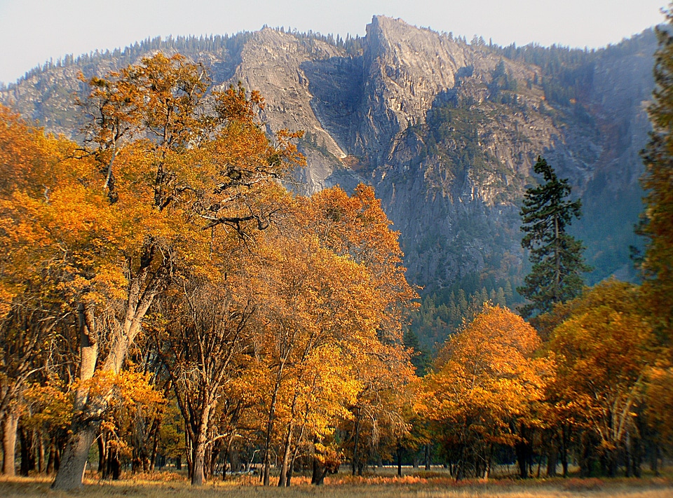 Yosemite National Park