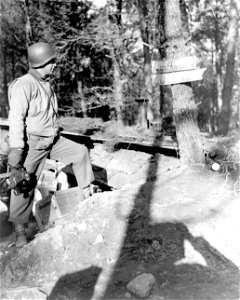 SC 337217 - Sgt. Joseph N. Gray, of 756 South Spring Street, Los Angeles, California, a member of the 167th Signal Photo Company, spots a sign in an Army bivouac area, which reads "Los Angeles, California, City Limits." photo