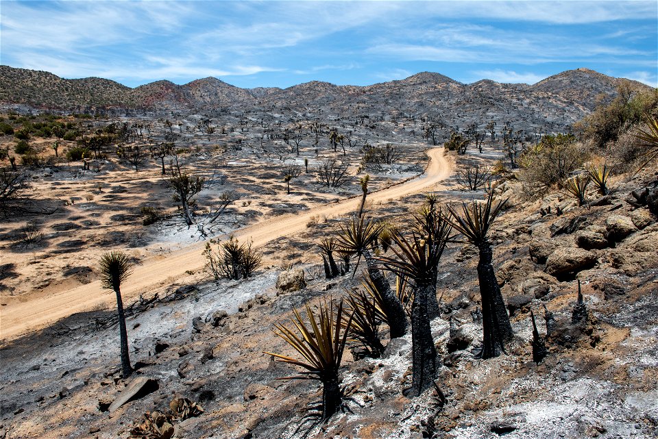 Elk Fire Burned Area