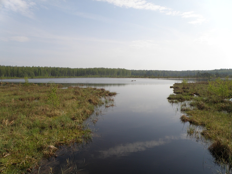 Daryino lake in Novki, Russia