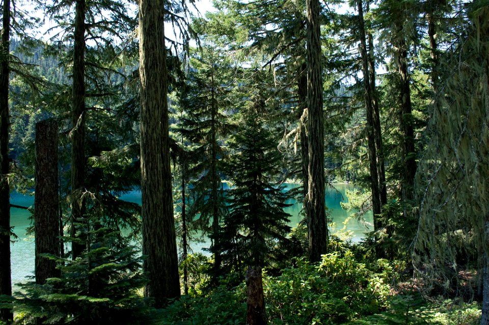 untitled-1651jpg_49364139328_o