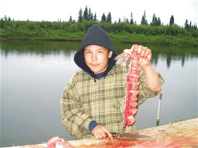 Jordan w cut fish
