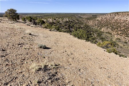 Near Roatcap Gulch