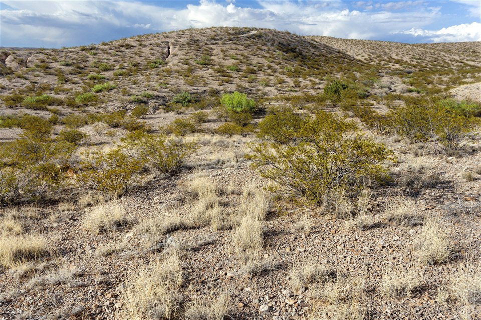 Arroyo de Tio Bartolo