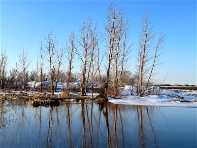 Latham Lake