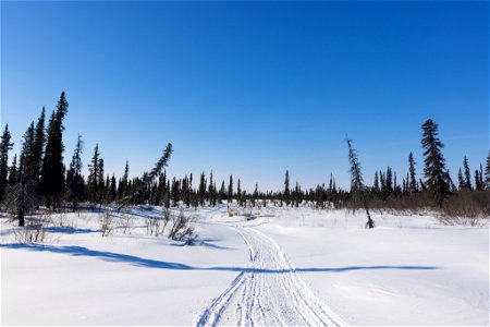 A winter trail at Selawik National Wildlife Refuge. photo