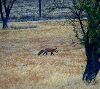 DSC06084_v2