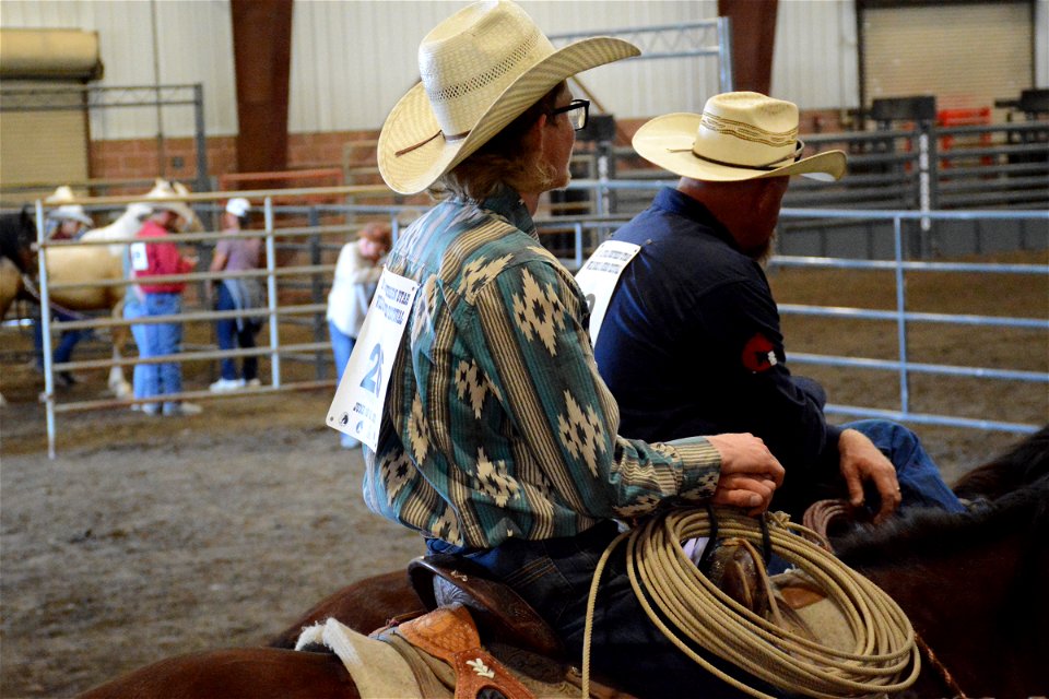 Northern Utah Wild Horse & Burro Festival - 2022 photo