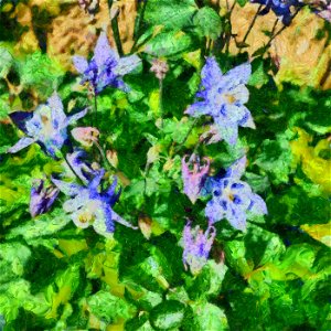 floral_DAP_heavyHD