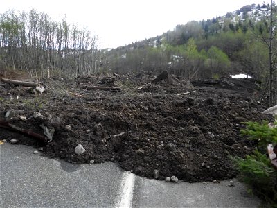 20230515_Ground view of debris flow on road_USGS_K Spicer_DSCN1984