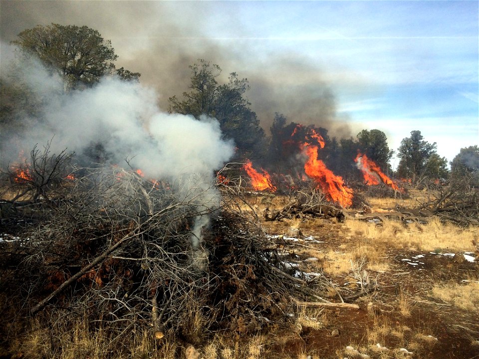 Pile burning on the Mt. Hood National Forest in 2019