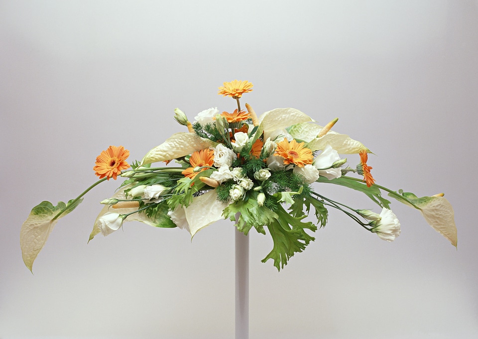 daisy green spadix and white eustoma flowers Ikebana