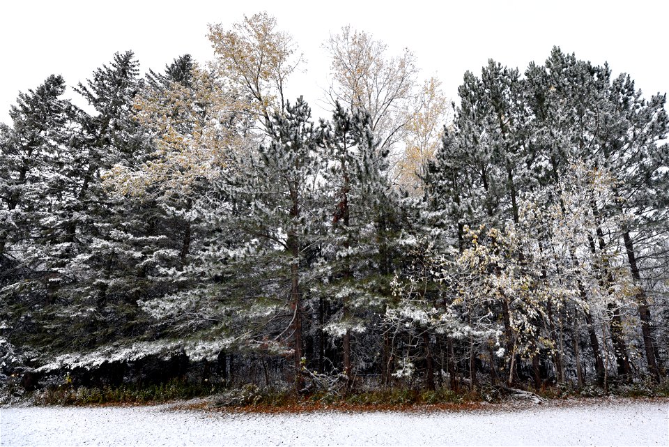 First snow in Minnesota photo