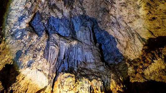DSCF5069