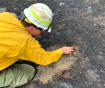 Soil Scientist Rob Ballard looking at soil burn severity