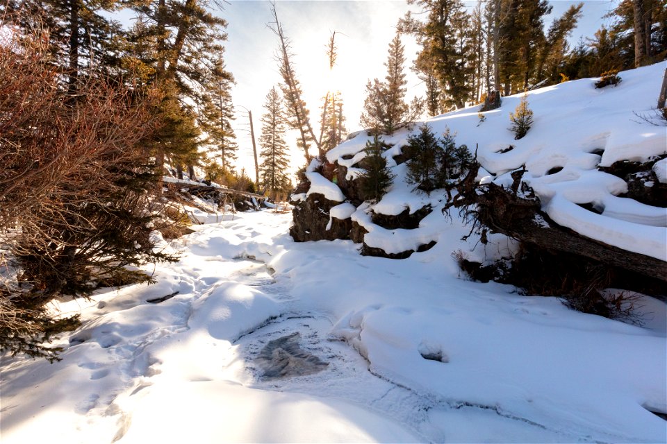 Frozen Lava Creek near the Brink of Undine Falls