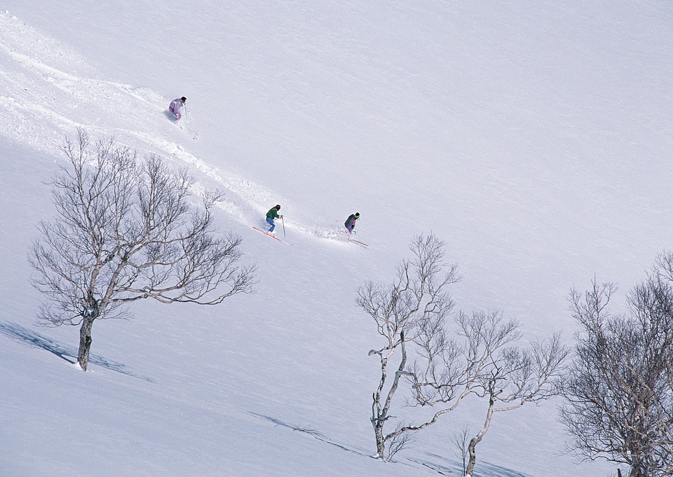 Skier in deep powder, extreme freeride