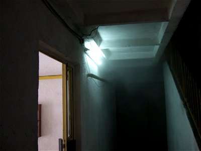 005