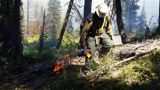 Pioneer Fire, Boise National Forest