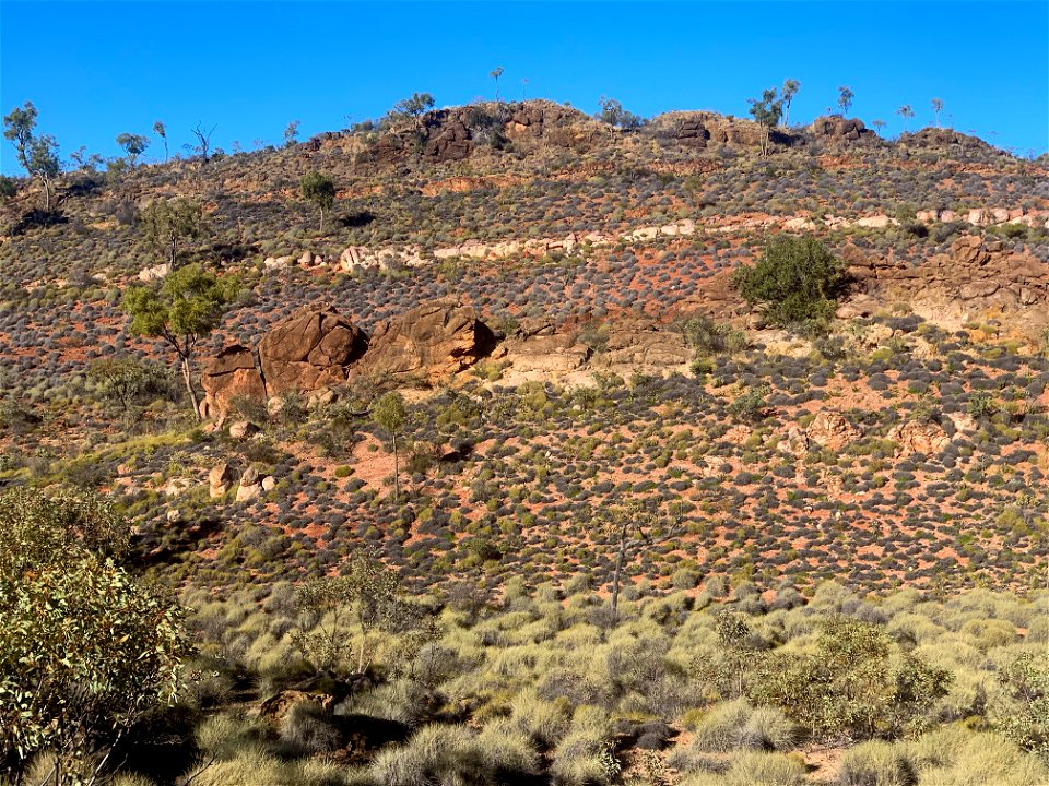 Between Ellery Creek and Serpentine Gorge (section 7)