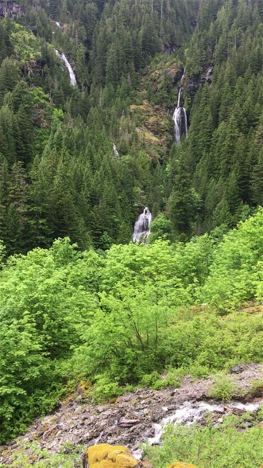 Water run off on Perry Creek Trail, Mt. Baker-Snoqualmie National Forest. Video by Holly Snarr June 21, 2020
