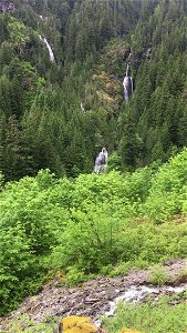 Water run off on Perry Creek Trail, Mt. Baker-Snoqualmie National Forest. Video by Holly Snarr June 21, 2020