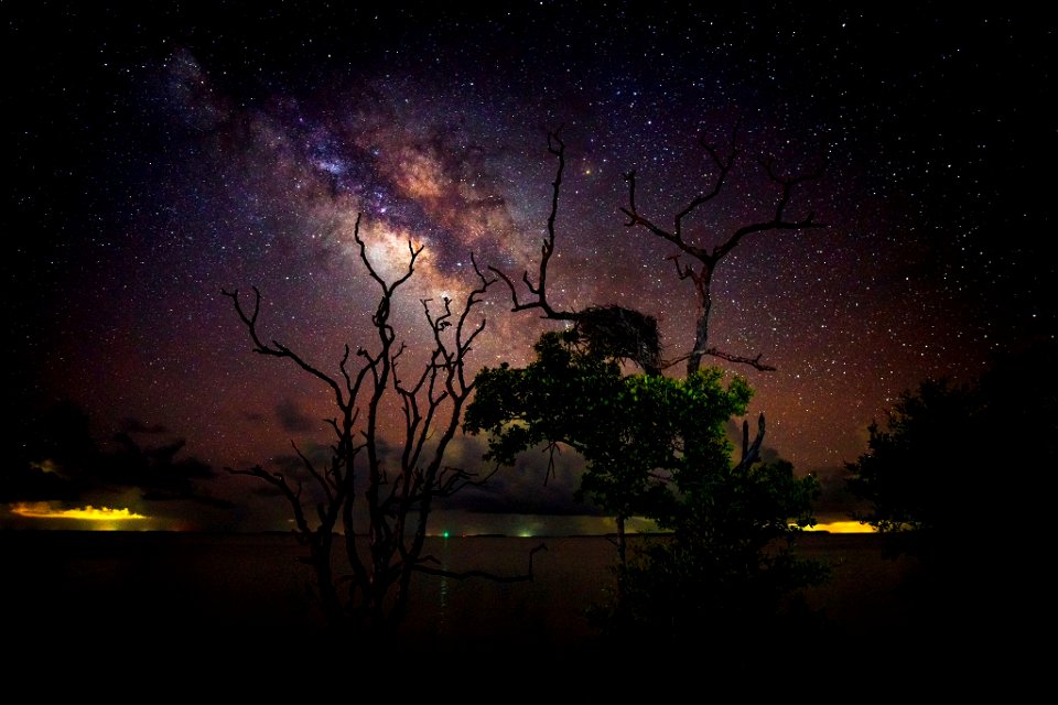 Half the Park is After Dark, Flamingo Campground