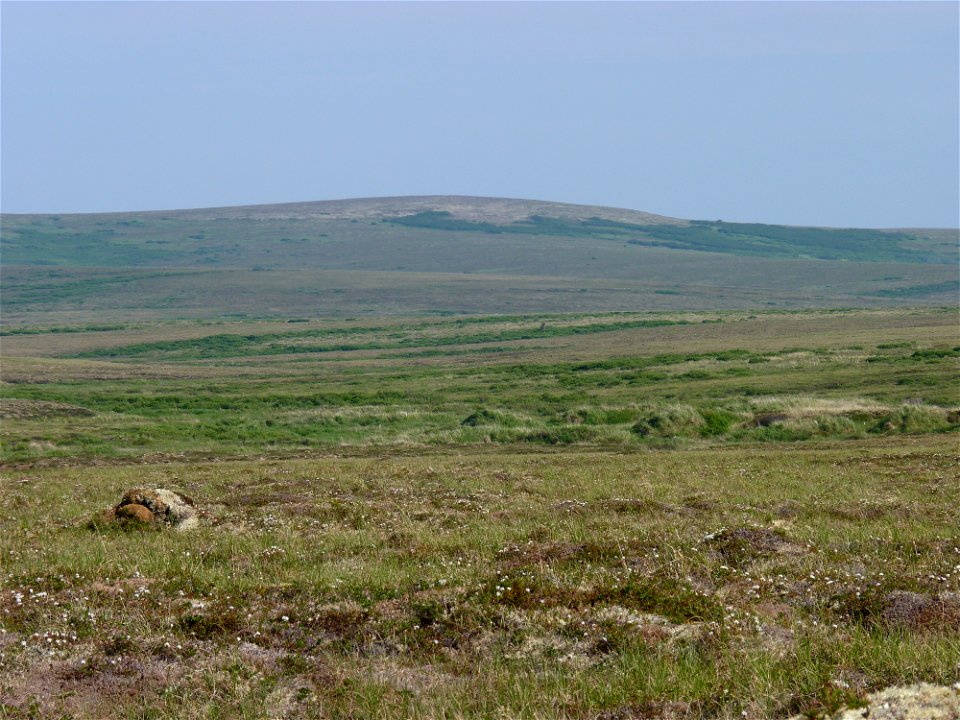 Andreafsky Wilderness