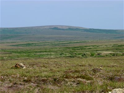 Andreafsky Wilderness