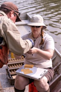 Invasive Carp Research on the James River in South Dakota. Photo: Sam Stukel (USFWS) photo