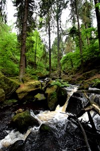 DSC_0410 (2)