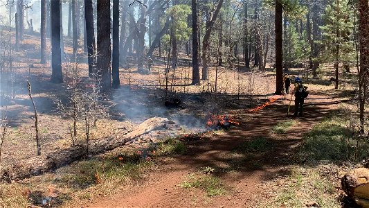 Upper Beaver Creek Rx Burn photo