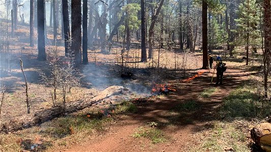 Upper Beaver Creek Rx Burn