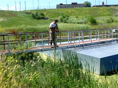 High water mark in wetland survey photo