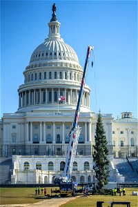 CapitolXmasTree-WashingtonDC-053