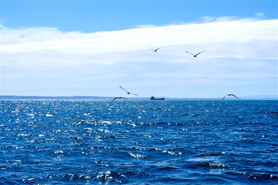 Ocean View photo