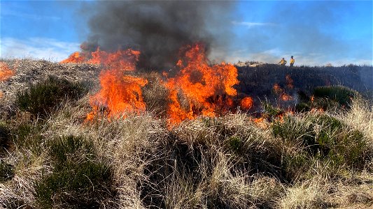 Siuslaw Oregon Dunes Prescribed Burn 2022