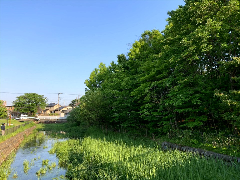Ochiai River in Higashikurume-shi